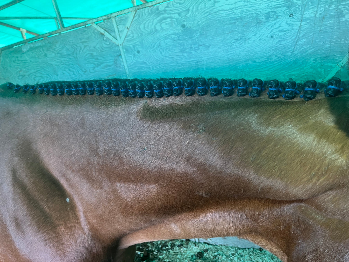 BRAIDING* Tutorials posted on the Facebook page: Katie’s Horse Care Supply (old), and Katie’s Horse Care Supply 2.0 (new). Instagram: Katie’s Horse Care Supply