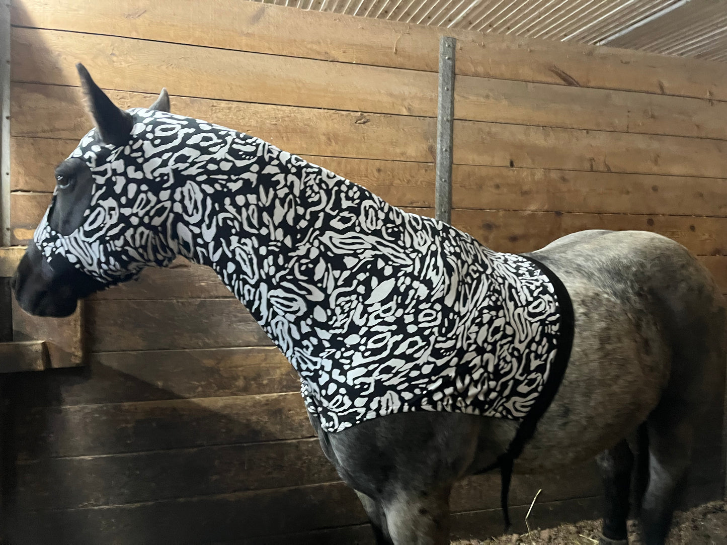HORSE SIZE SLINKY. FREE CHARM