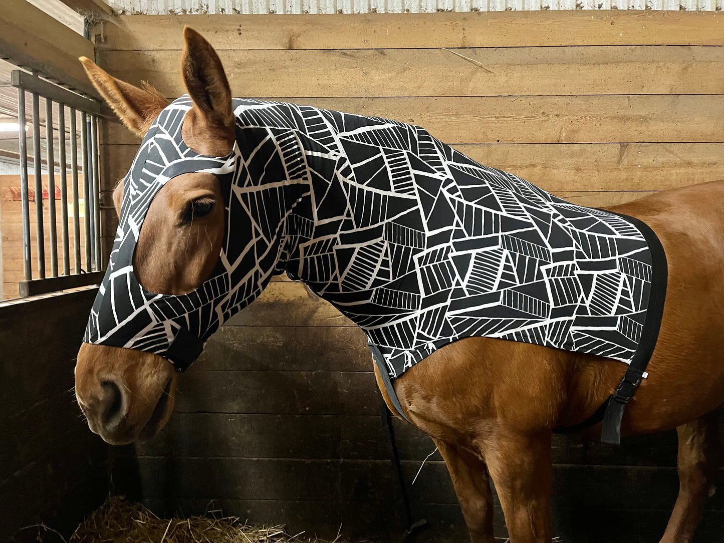 HORSE SIZE SLINKY. FREE CHARM