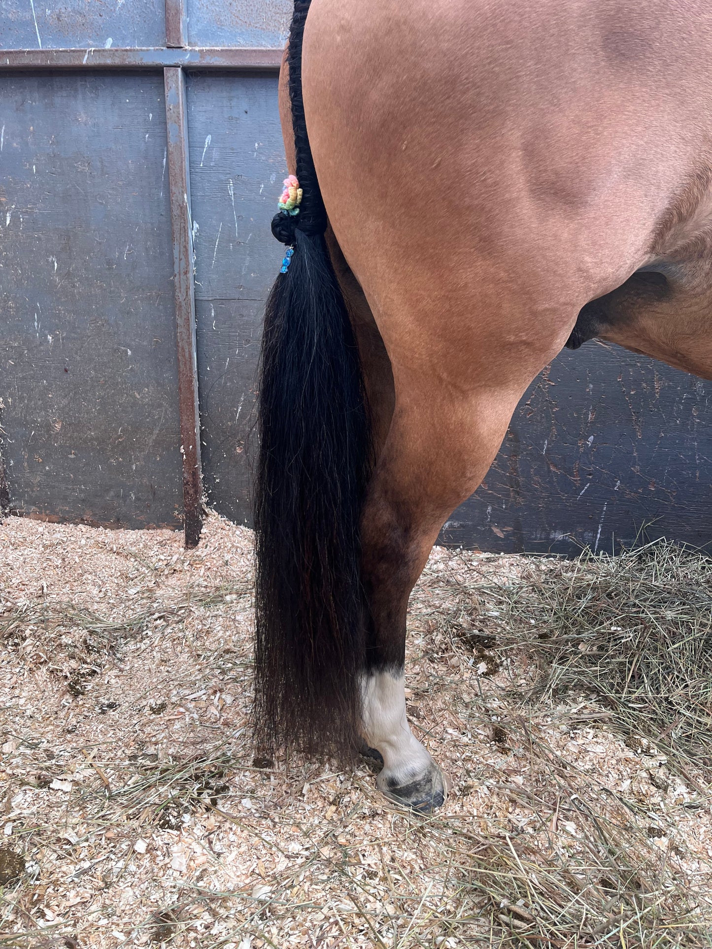 NATURAL LOOP FAKE TAILS. Real Horse Hair. Free Cover Bag, Pom Pom, Bridle Charm, Loop Charm. $99.99 - $550