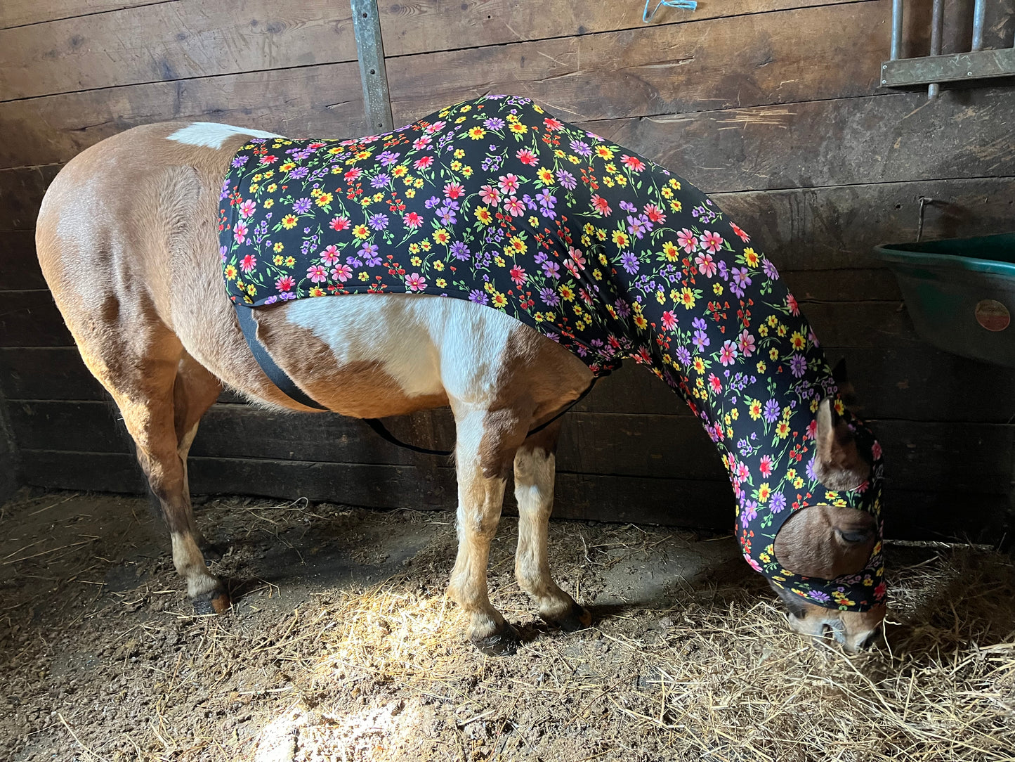 HORSE SIZE SLINKY. FREE CHARM
