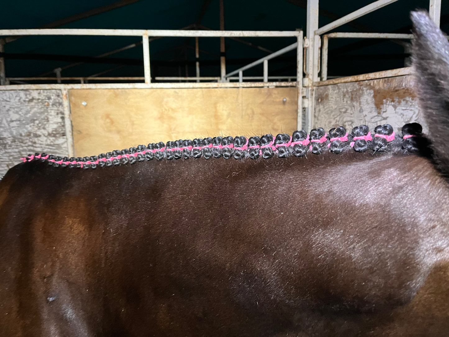 BRAIDING* Tutorials posted on the Facebook page: Katie’s Horse Care Supply (old), and Katie’s Horse Care Supply 2.0 (new). Instagram: Katie’s Horse Care Supply