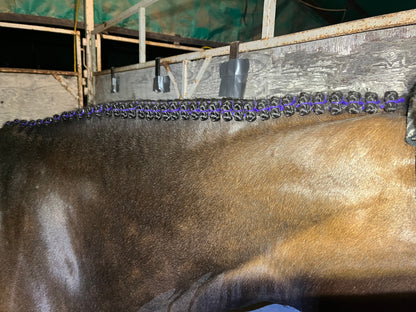 BRAIDING* Tutorials posted on the Facebook page: Katie’s Horse Care Supply (old), and Katie’s Horse Care Supply 2.0 (new). Instagram: Katie’s Horse Care Supply