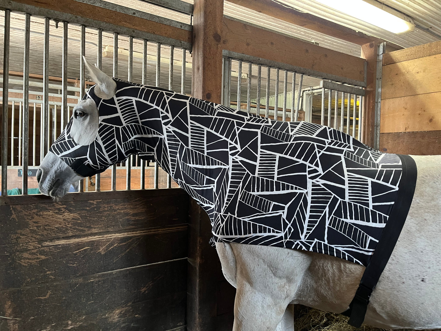 LARGE PONY/SMALL HORSE SLINKY. FREE CHARM