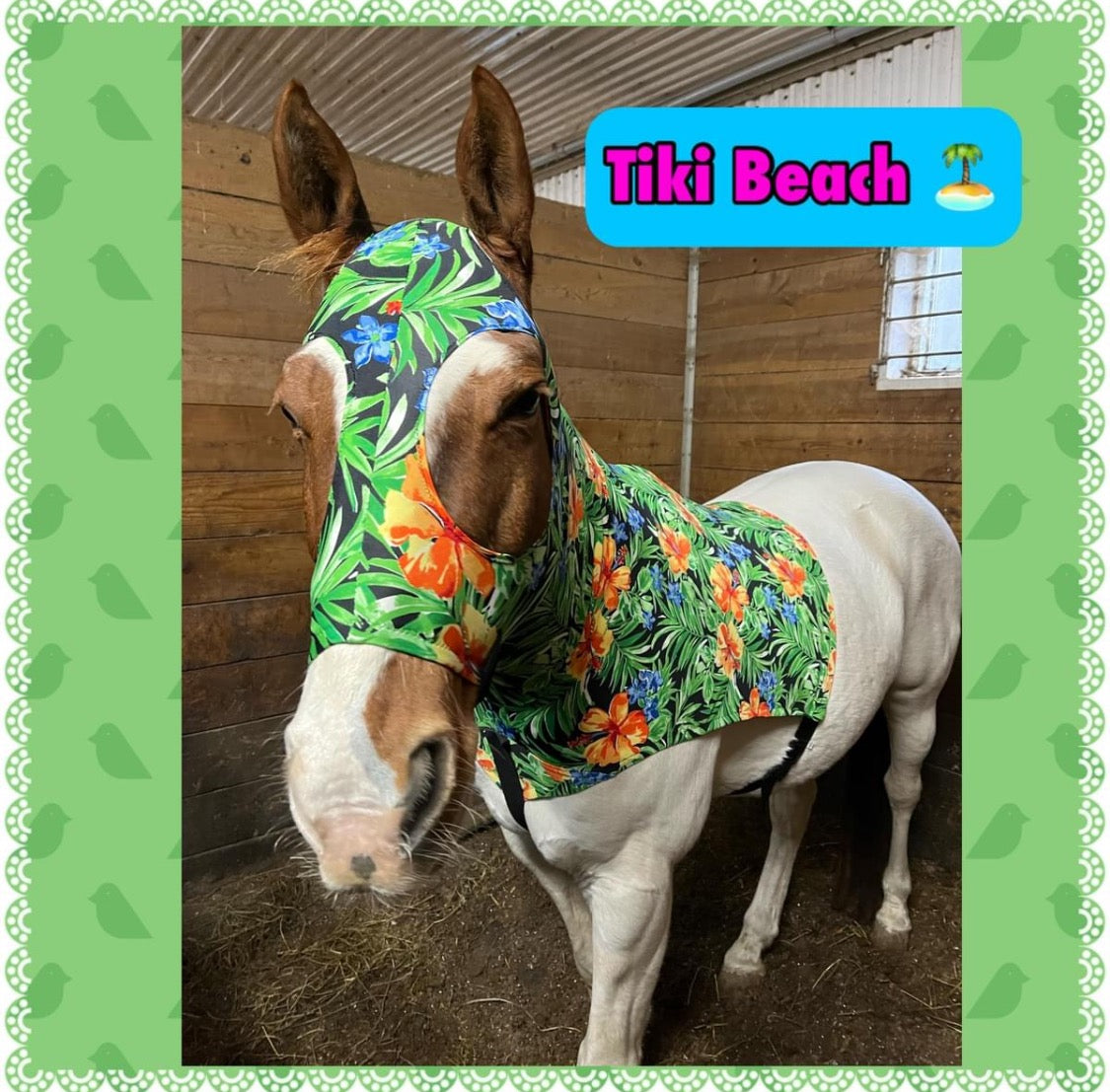 MEDIUM PONY SLINKY/SMALL-SIZED LARGE PONY. FREE CHARM