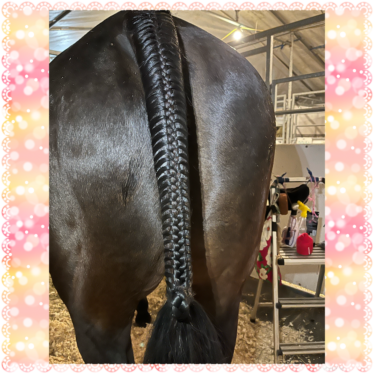 BRAIDING* Tutorials posted on the Facebook page: Katie’s Horse Care Supply (old), and Katie’s Horse Care Supply 2.0 (new). Instagram: Katie’s Horse Care Supply