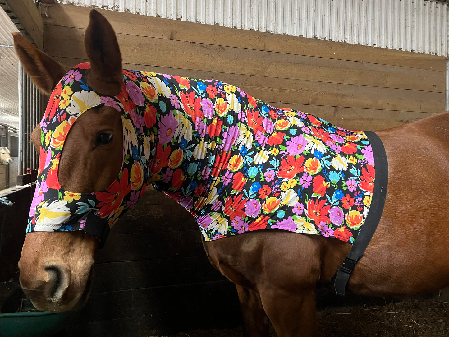 WARMBLOOD/DRAFT CROSS SLINKY. FREE CHARM