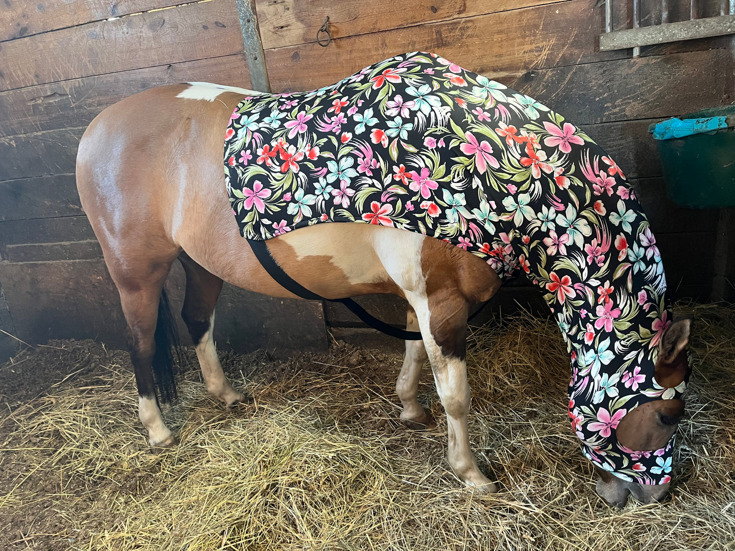 MEDIUM PONY SLINKY/SMALL-SIZED LARGE PONY. FREE CHARM