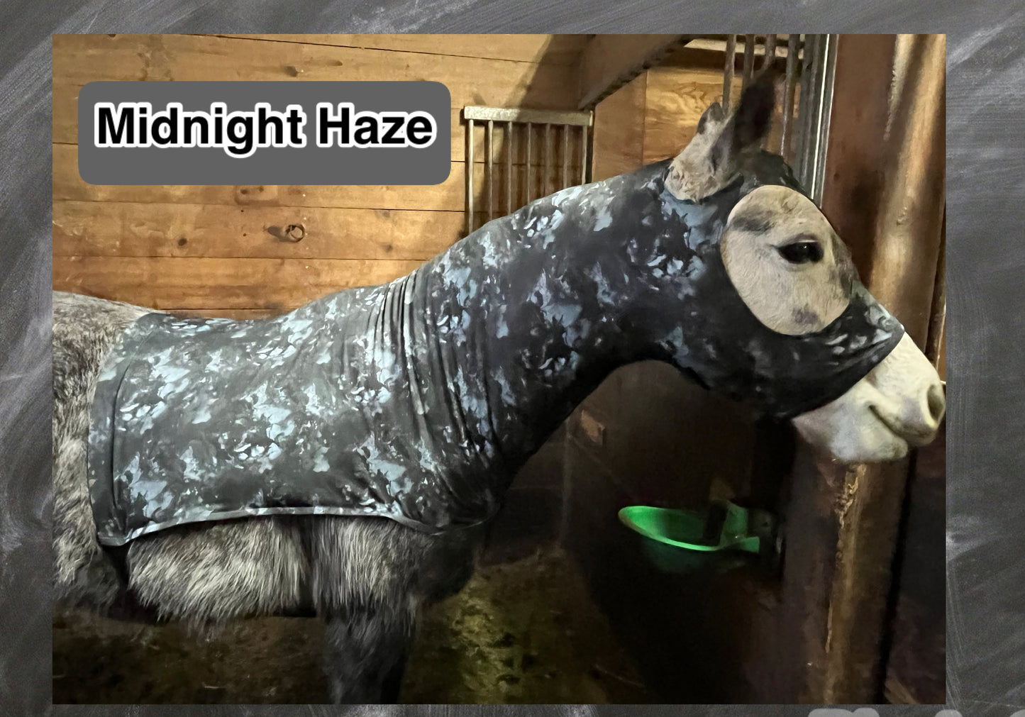 HORSE SIZE SLINKY. FREE CHARM