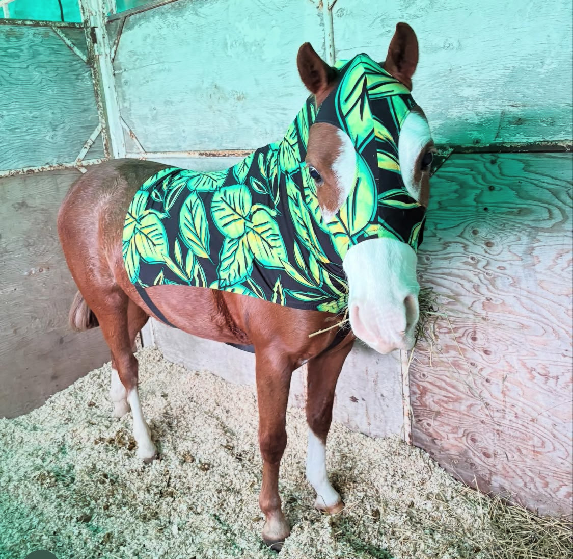 LARGE PONY/SMALL HORSE SLINKY. FREE CHARM
