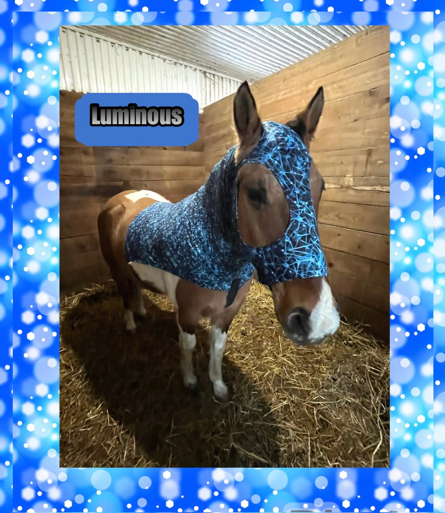 HORSE SIZE SLINKY. FREE CHARM
