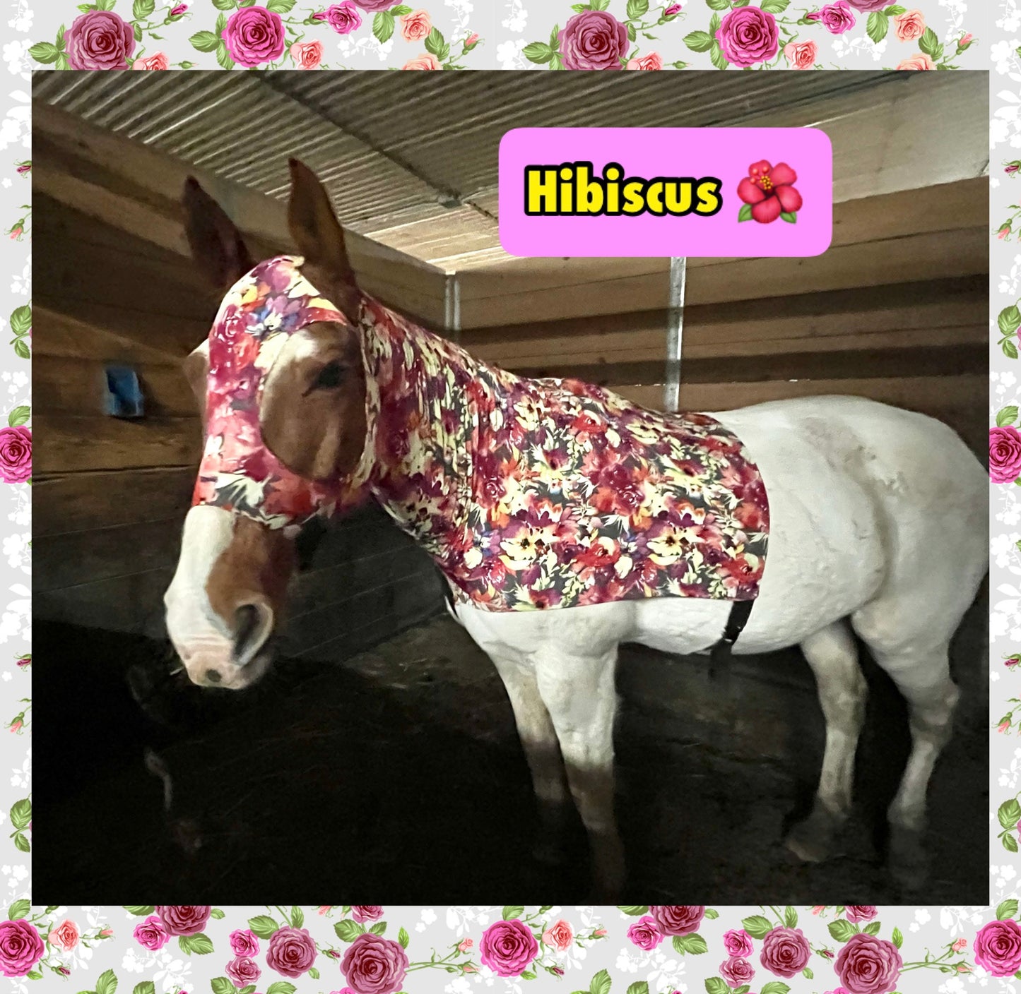HORSE SIZE SLINKY. FREE CHARM
