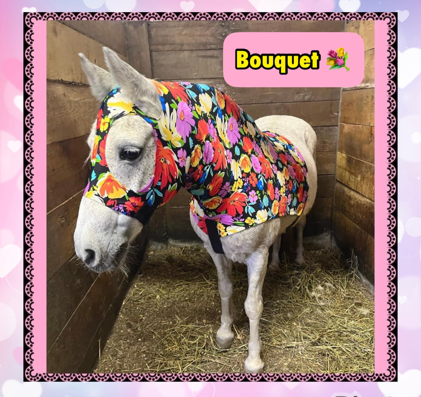 WARMBLOOD/DRAFT CROSS SLINKY. FREE CHARM