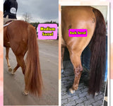 KNOB TOP Fake Tails 1/2 Pound. Real Horse Hair. Free Cover Bag, Pom Pom, Bridle Charm, Loop Charm.