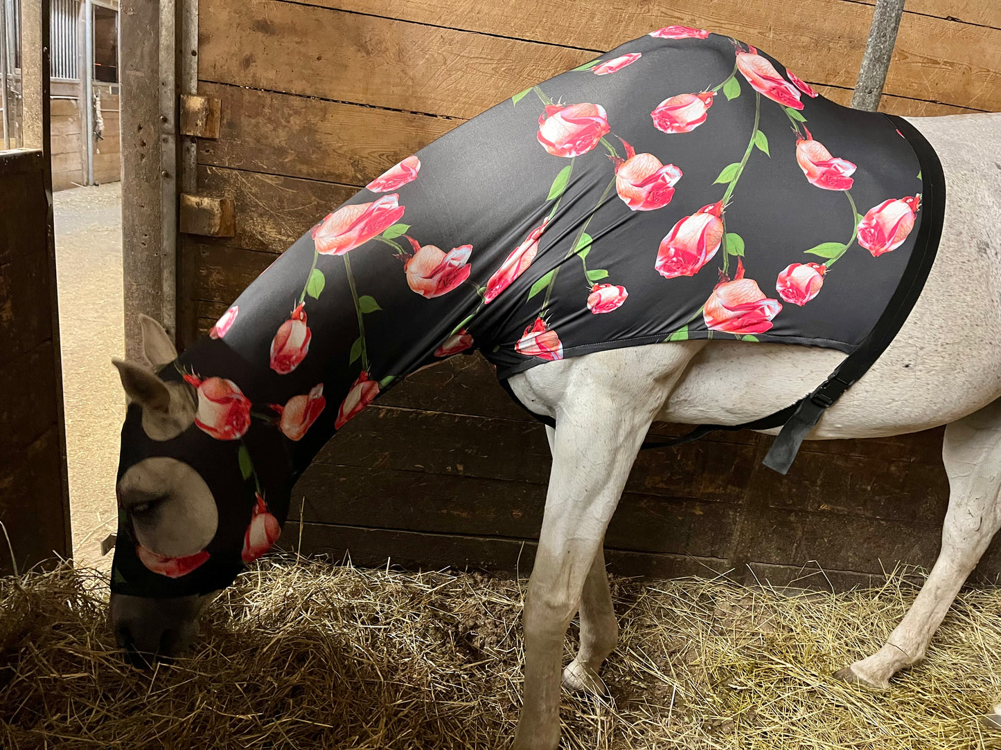 HORSE SIZE SLINKY. FREE CHARM