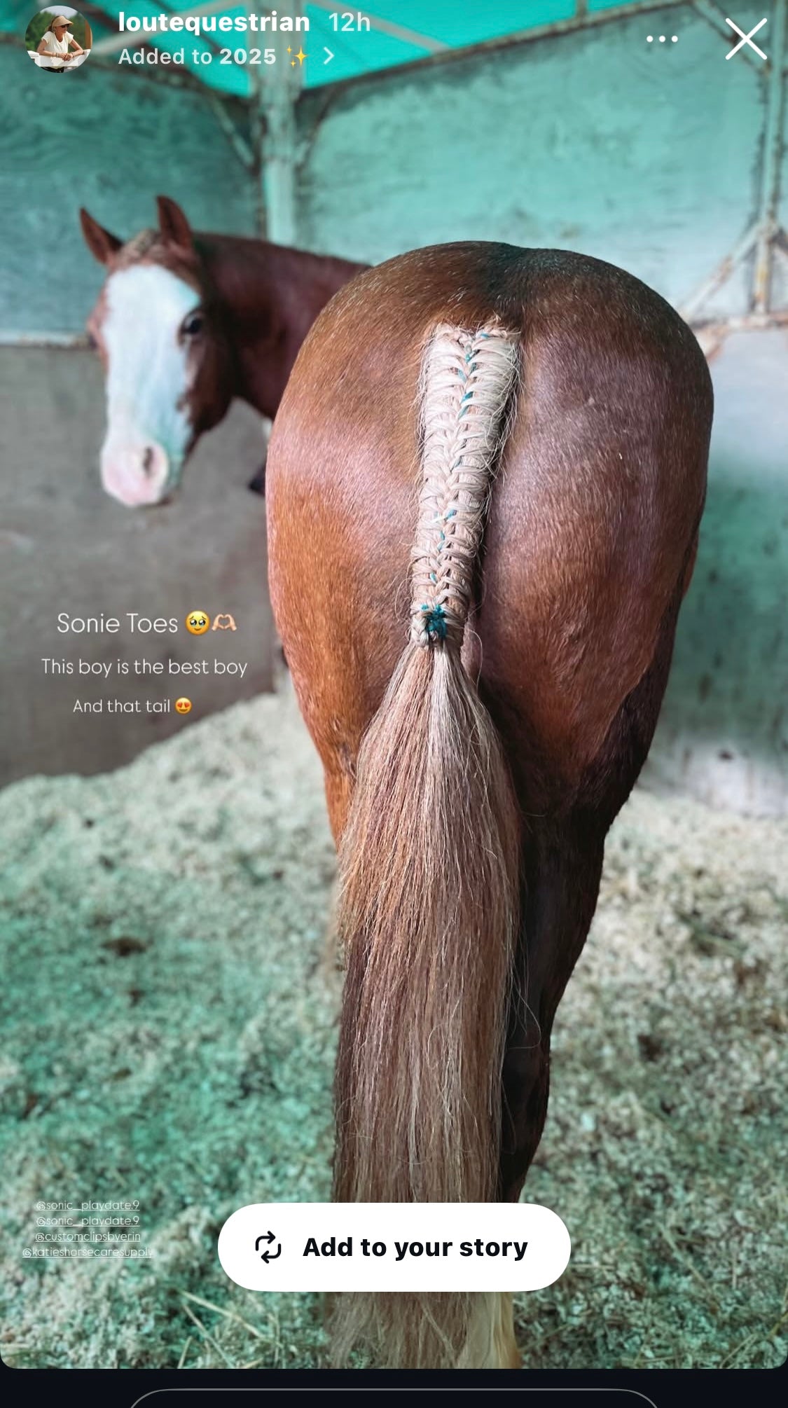 NATURAL LOOP FAKE TAILS. Real Horse Hair. Free Cover Bag, Pom Pom, Bridle Charm, Loop Charm. $99.99 - $550