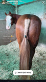 Natural Loop Fake Tails. Real Horse Hair. Free Cover Bag, Pom Pom, Bridle Charm, Loop Charm.