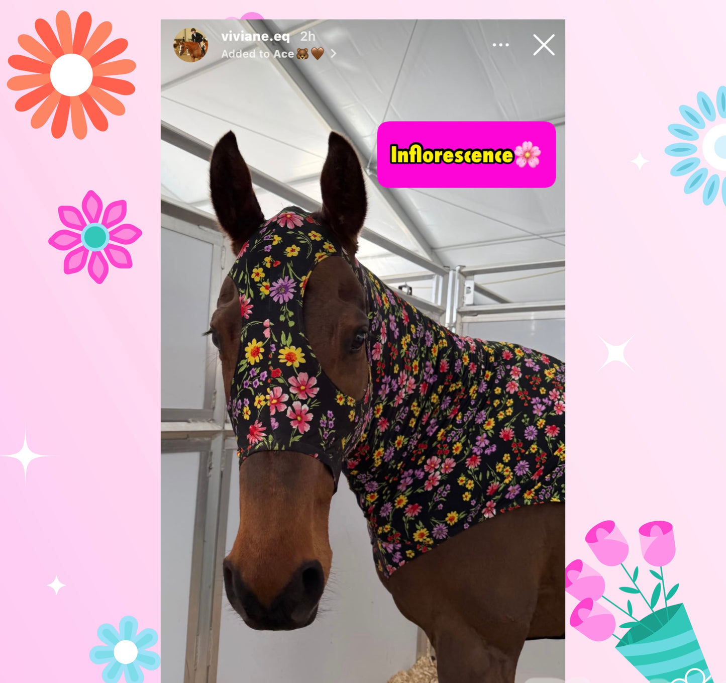 HORSE SIZE SLINKY. FREE CHARM
