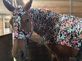 Warmblood/Draft Cross Slinky. FREE CHARM