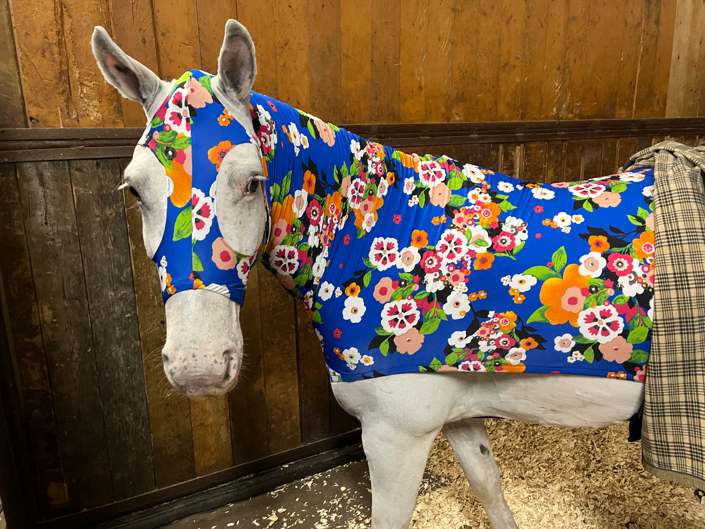 MEDIUM PONY SLINKY/SMALL-SIZED LARGE PONY. FREE CHARM
