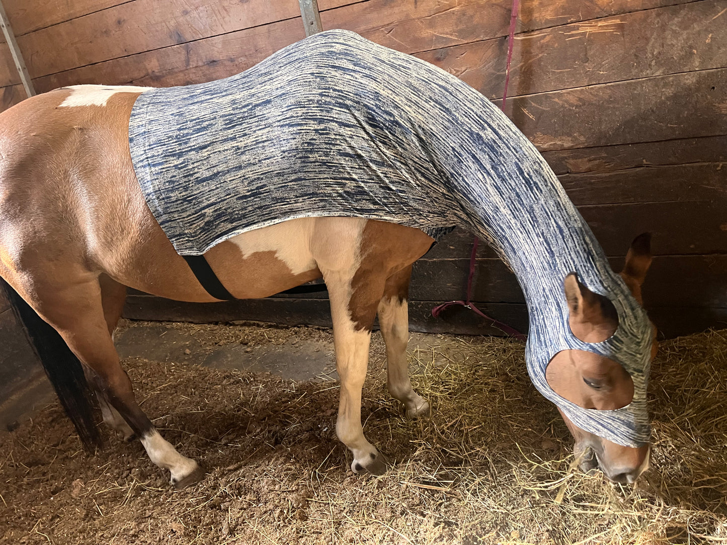MEDIUM PONY SLINKY/SMALL-SIZED LARGE PONY. FREE CHARM