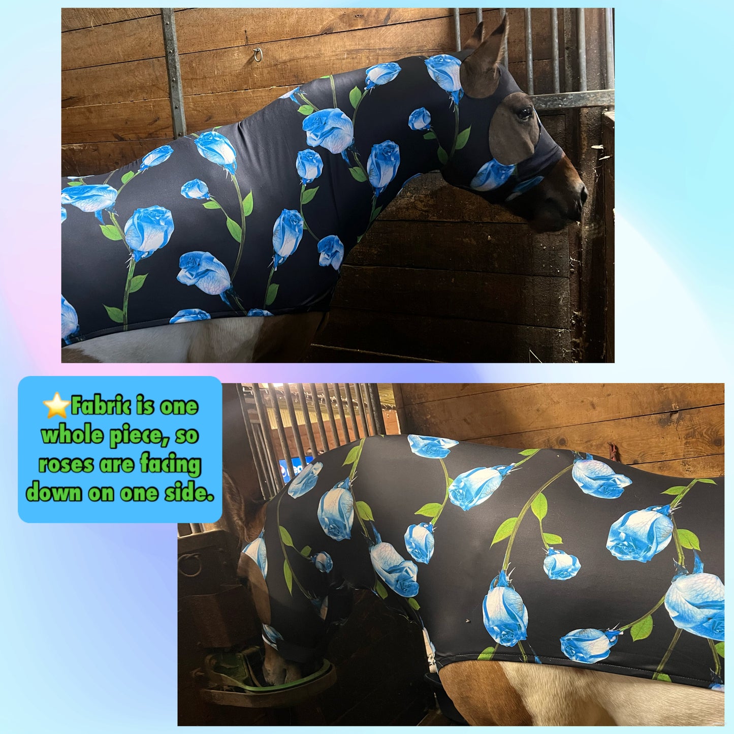 HORSE SIZE SLINKY. FREE CHARM