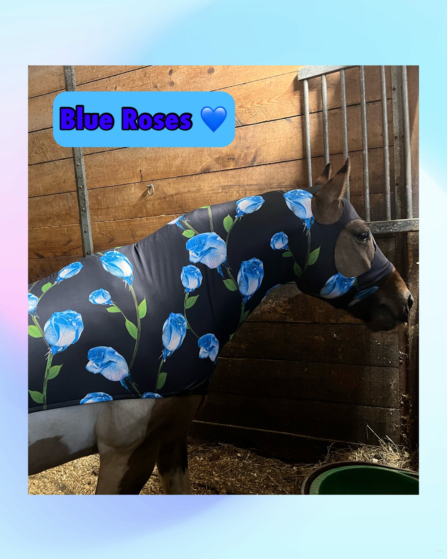 HORSE SIZE SLINKY. FREE CHARM
