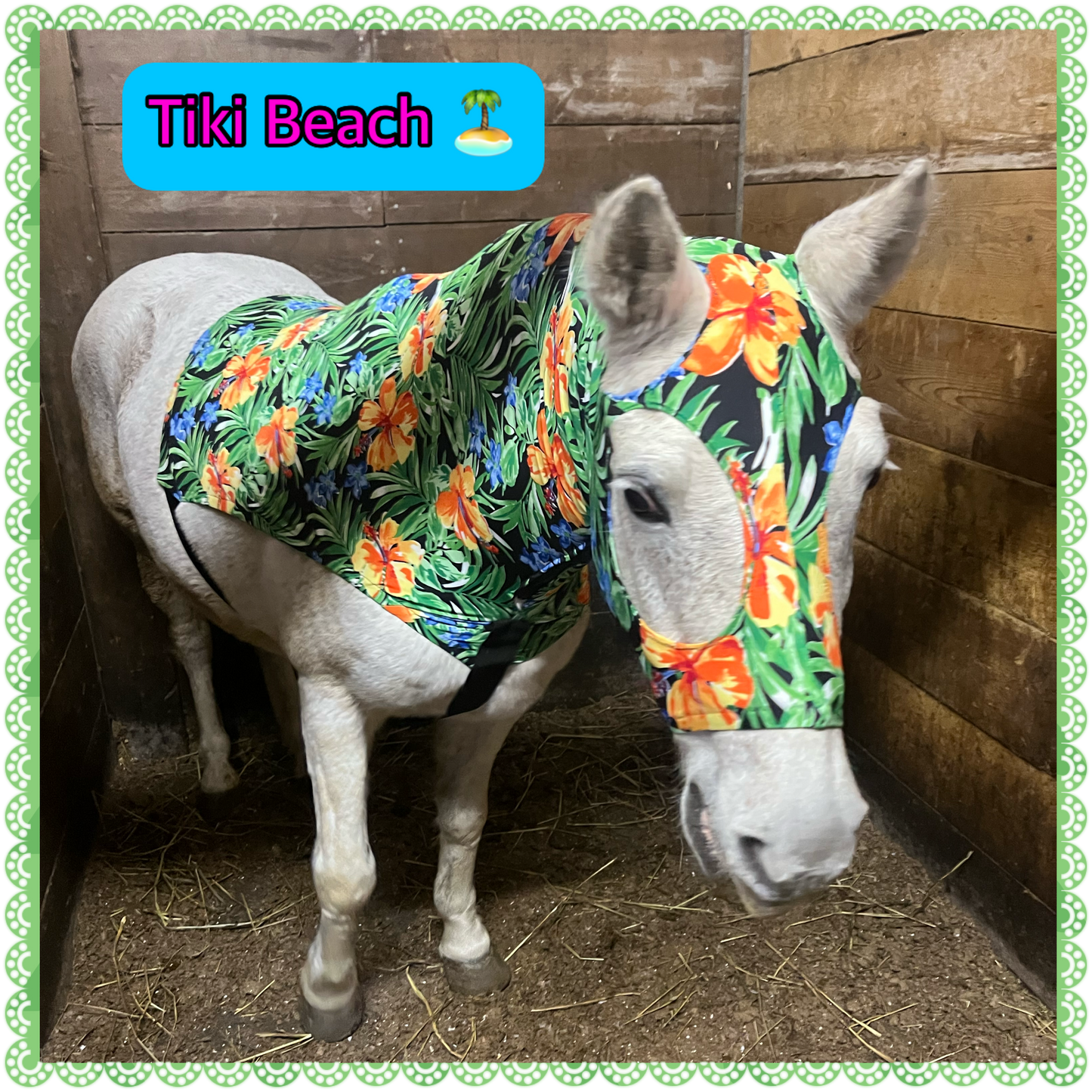SMALL PONY SLINKY/SMALL-SIZED MEDIUM PONY. FREE CHARM