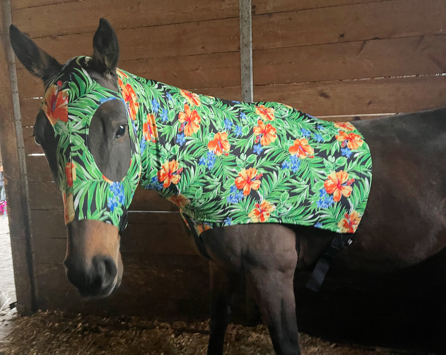 LARGE PONY/SMALL HORSE SLINKY. FREE CHARM