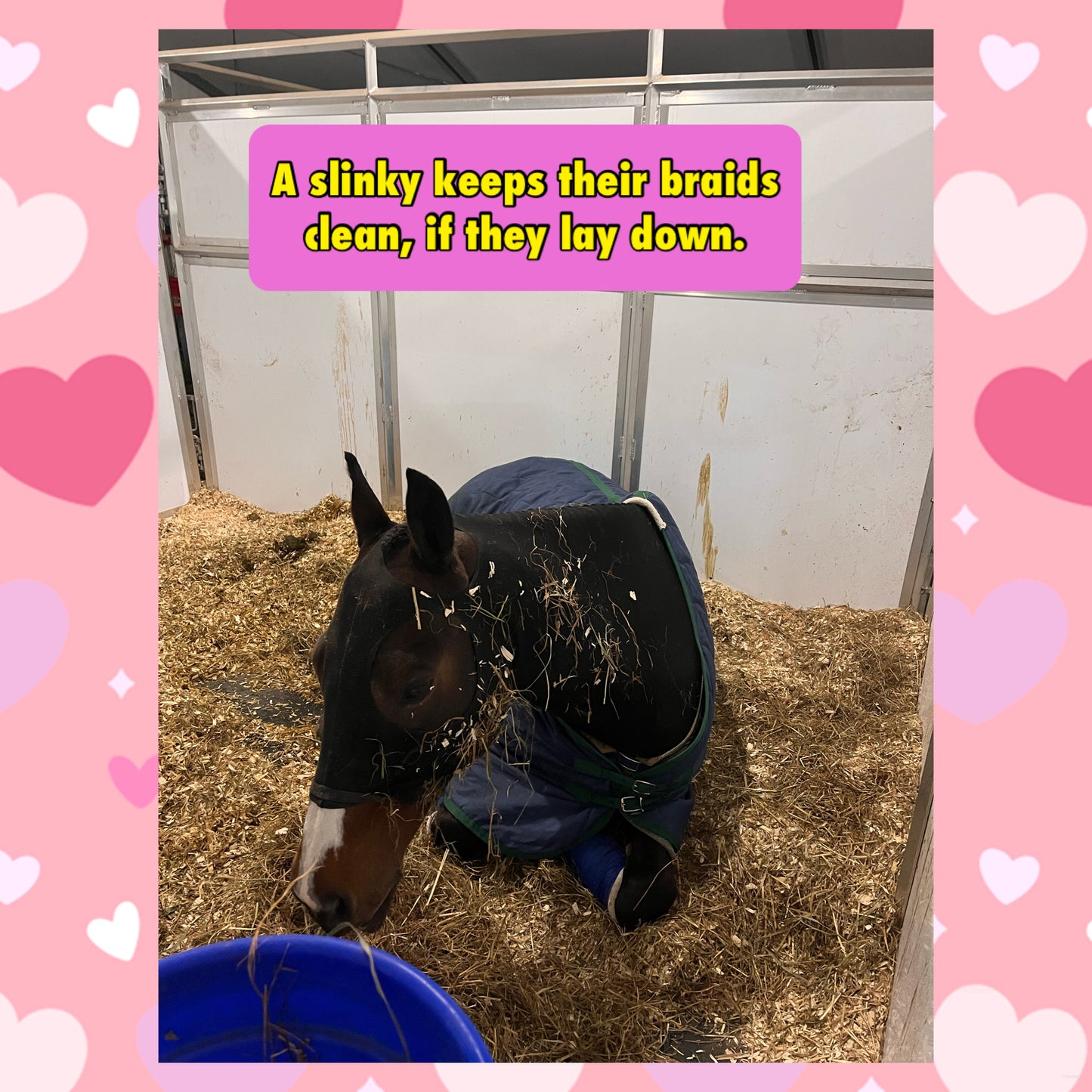 HORSE SIZE SLINKY. FREE CHARM
