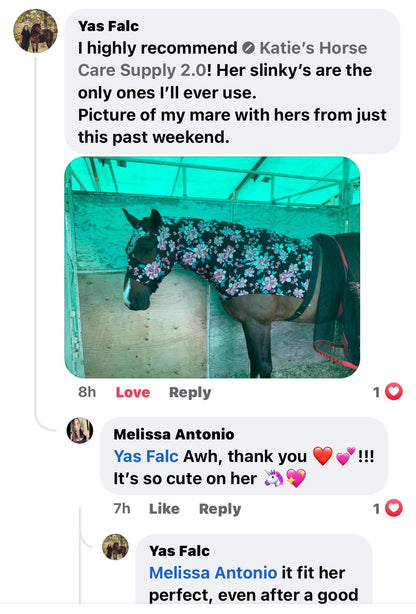 HORSE SIZE SLINKY. FREE CHARM