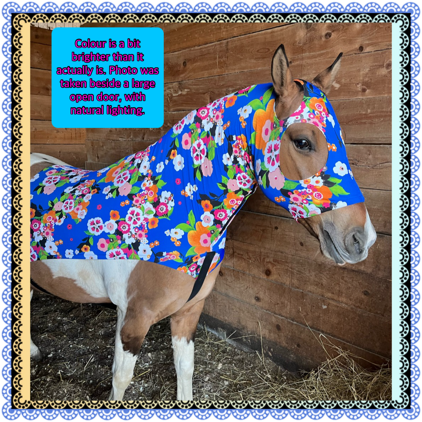 LARGE PONY/SMALL HORSE SLINKY. FREE CHARM