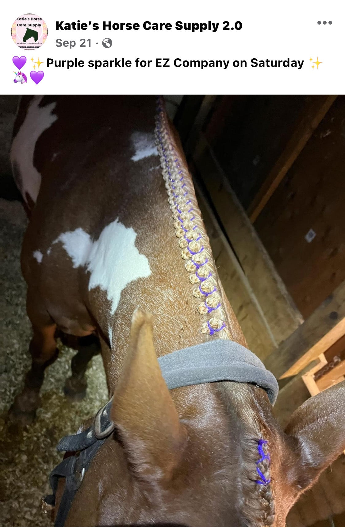 BRAIDING* Tutorials posted on the Facebook page: Katie’s Horse Care Supply (old), and Katie’s Horse Care Supply 2.0 (new). Instagram: Katie’s Horse Care Supply