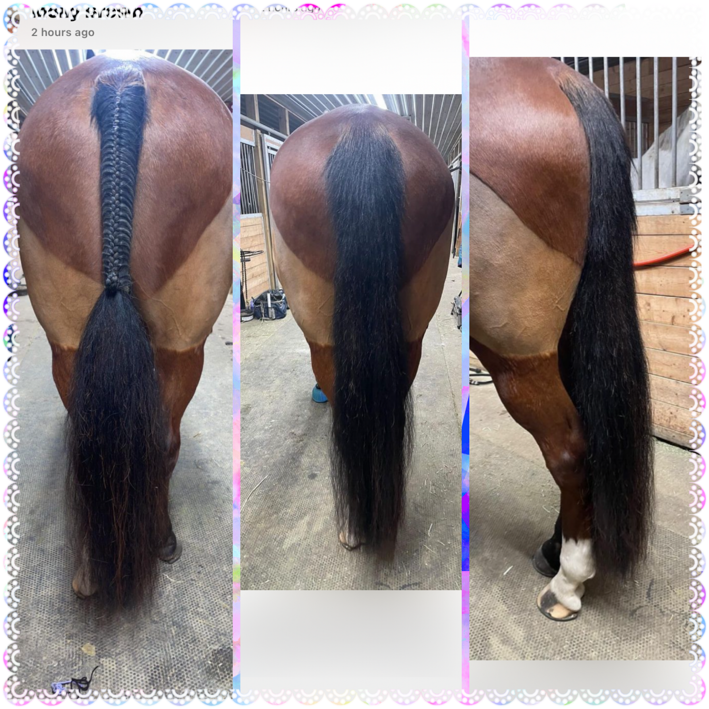 NATURAL LOOP FAKE TAILS. Real Horse Hair. Free Cover Bag, Pom Pom, Bridle Charm, Loop Charm. $99.99 - $550