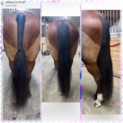 NATURAL LOOP FAKE TAILS. Real Horse Hair. Free Cover Bag, Pom Pom, Bridle Charm, Loop Charm. $99.99 - $550