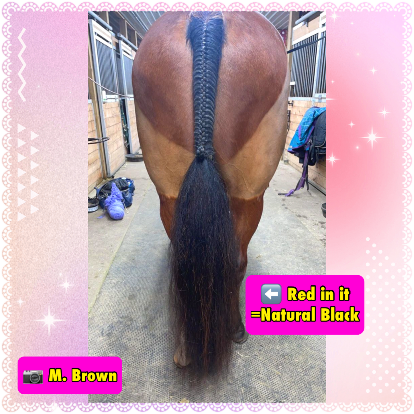NATURAL LOOP FAKE TAILS. Real Horse Hair. Free Cover Bag, Pom Pom, Bridle Charm, Loop Charm. $99.99 - $550