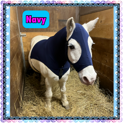 SMALL PONY SLINKY/SMALL-SIZED MEDIUM PONY. FREE CHARM