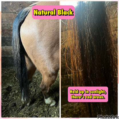 KNOB TOP Fake Tails 1 Pound. Real Horse Hair. Free Cover Bag, Pom Pom, Free Bridle Charm, Loop Charm. $180