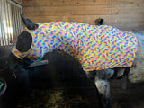 Medium Pony Slinky/Small Large Pony. FREE CHARM