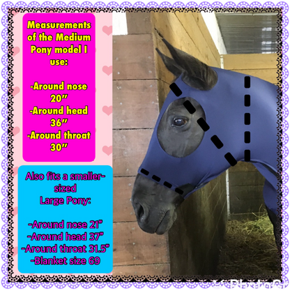 MEDIUM PONY SLINKY/SMALL-SIZED LARGE PONY. FREE CHARM