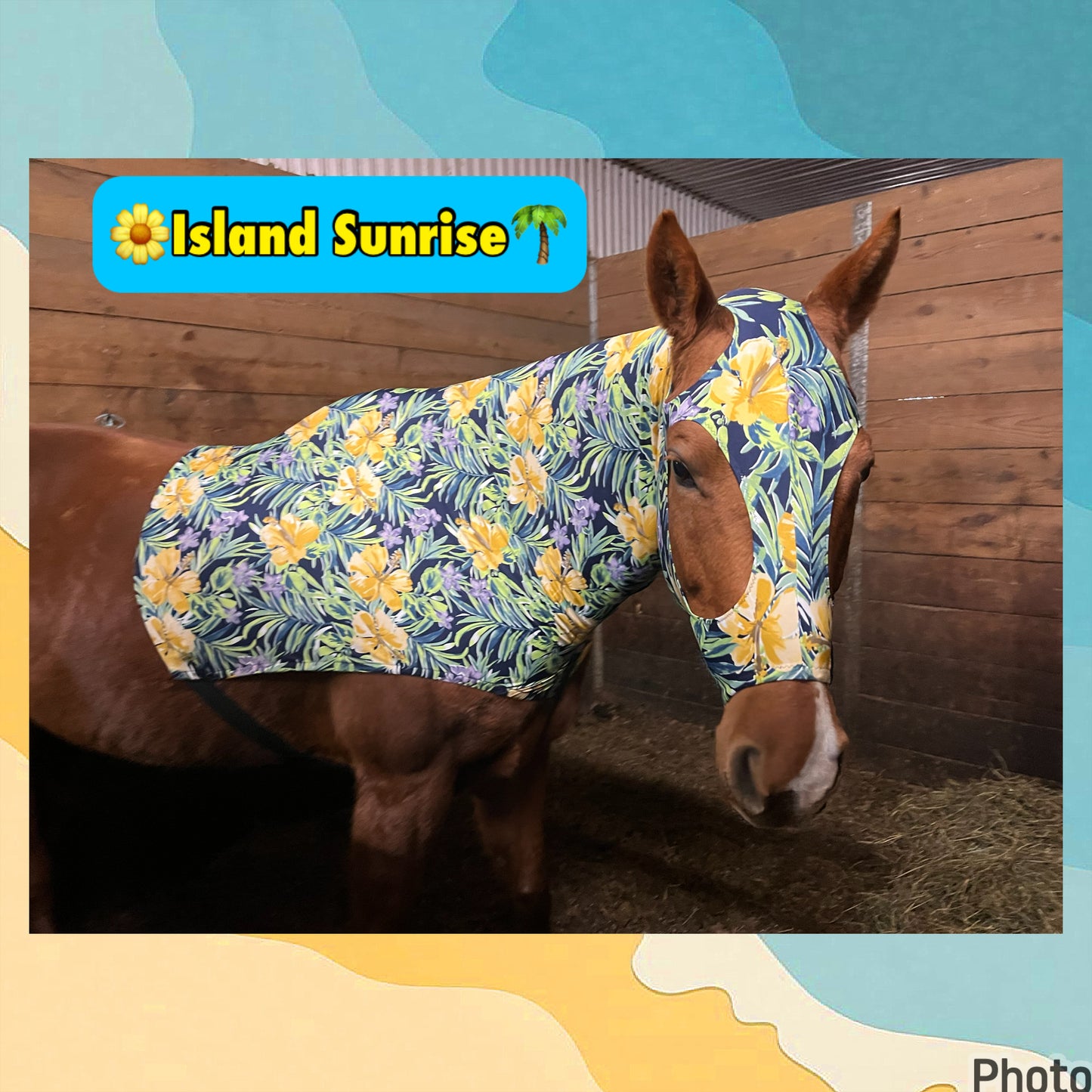 MEDIUM PONY SLINKY/SMALL-SIZED LARGE PONY. FREE CHARM