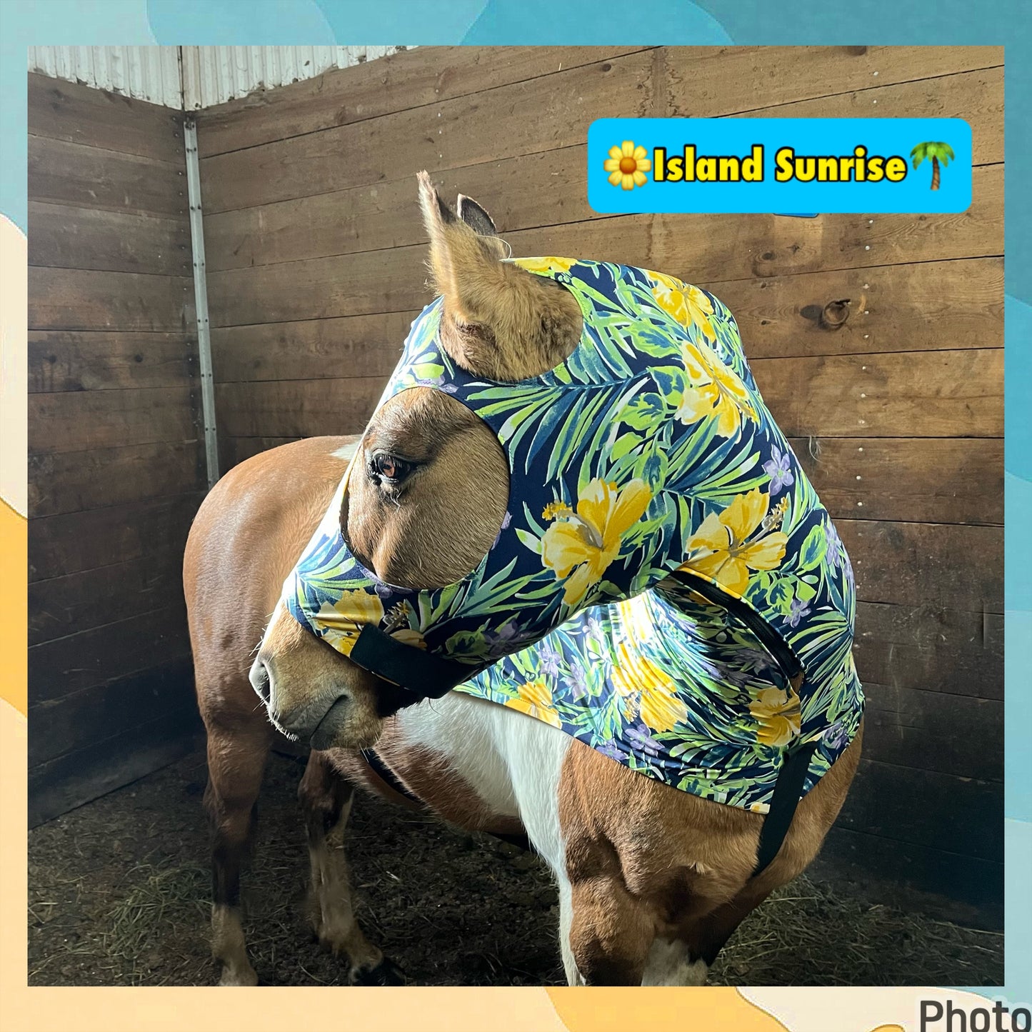HORSE SIZE SLINKY. FREE CHARM