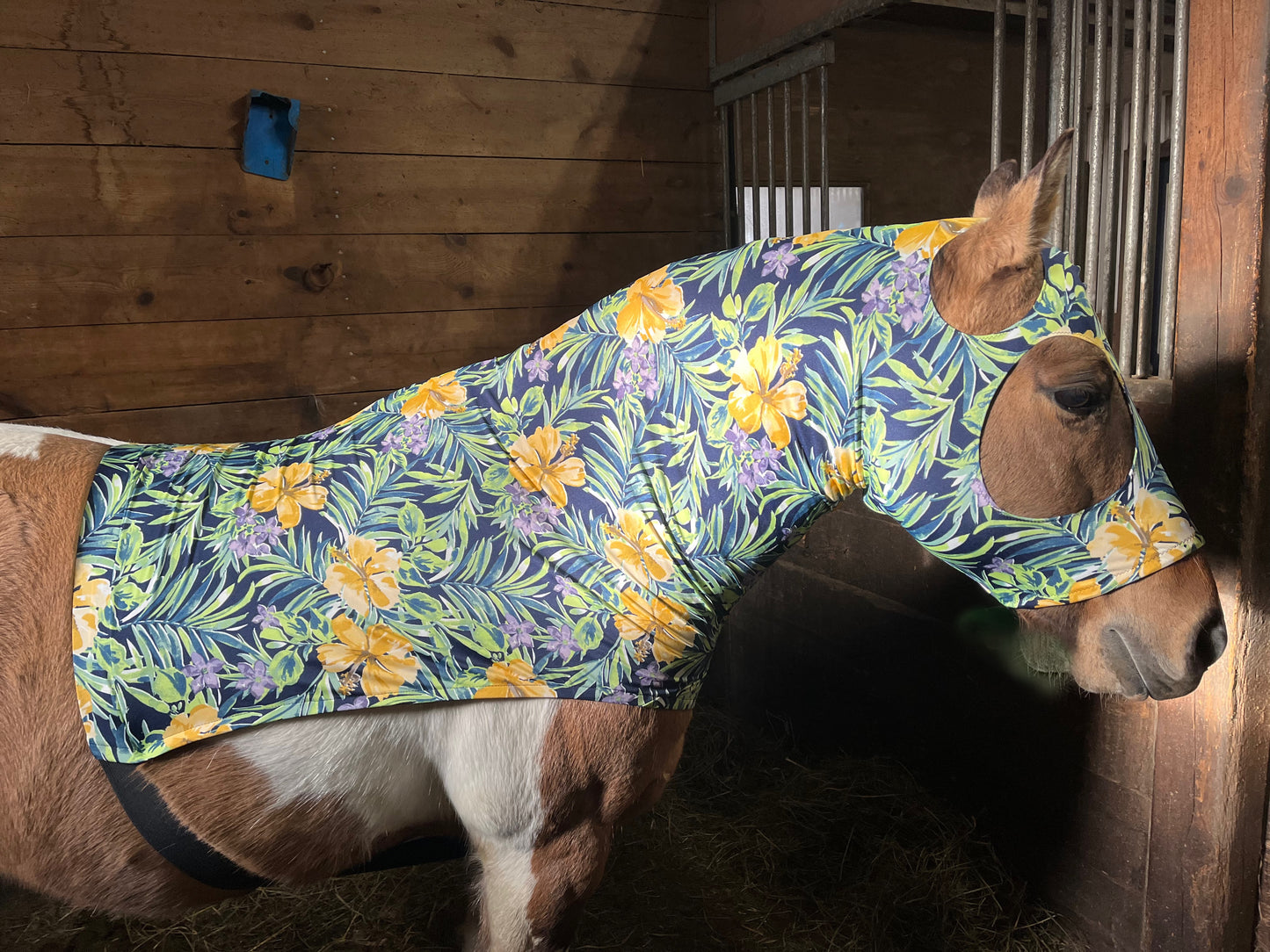 LARGE PONY/SMALL HORSE SLINKY. FREE CHARM