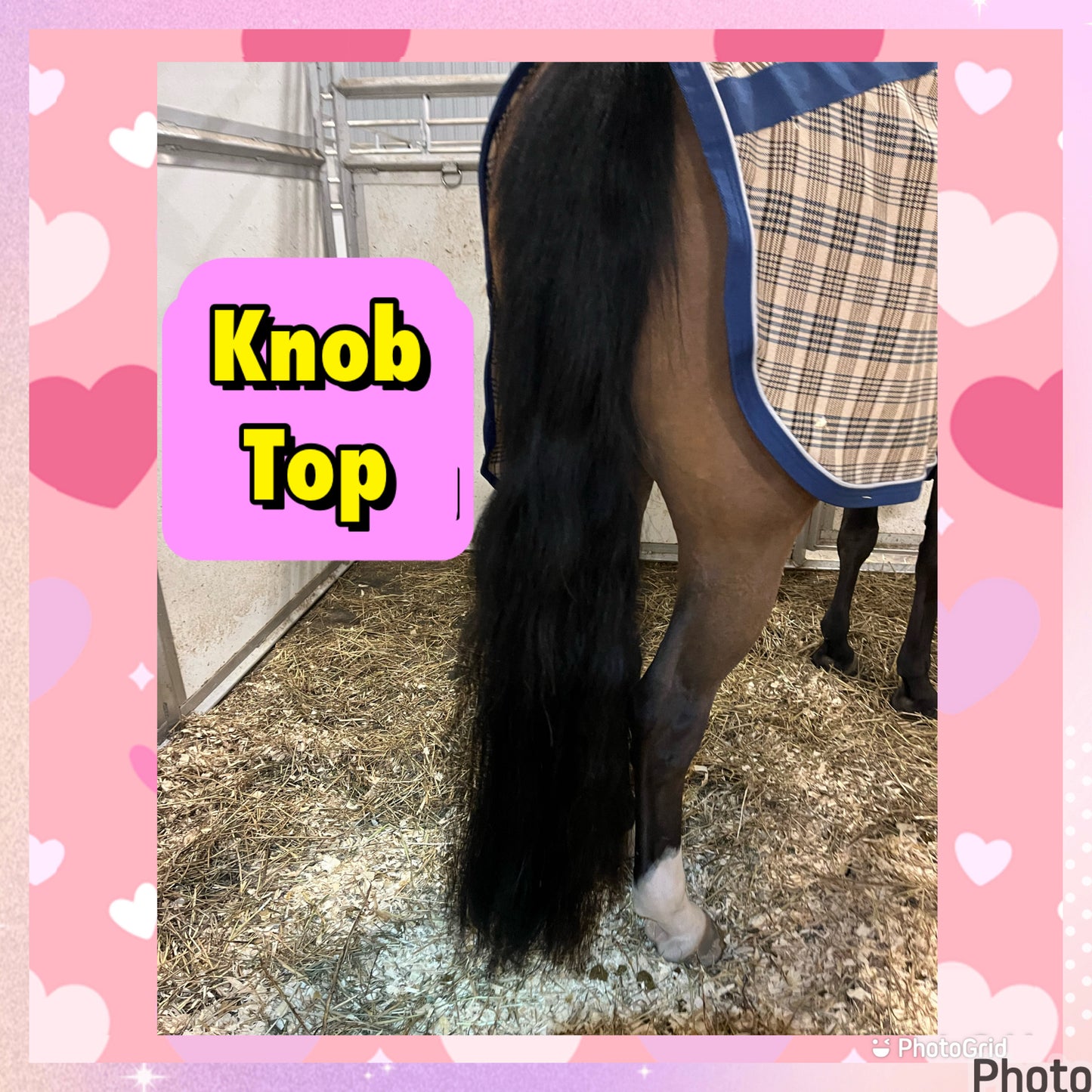 KNOB TOP Fake Tails 1 Pound. Real Horse Hair. Free Cover Bag, Pom Pom, Free Bridle Charm, Loop Charm. $180
