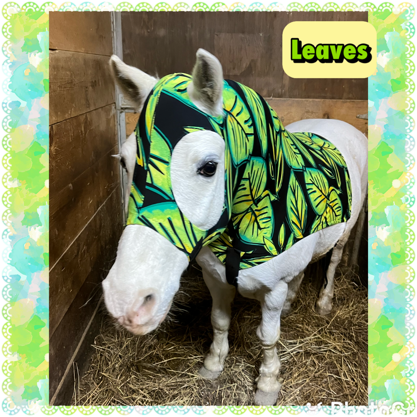 SMALL PONY SLINKY/SMALL-SIZED MEDIUM PONY. FREE CHARM