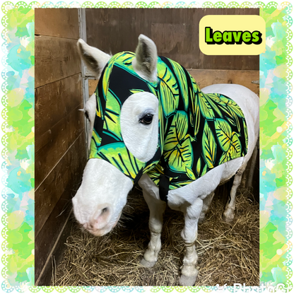 SMALL PONY SLINKY/SMALL-SIZED MEDIUM PONY. FREE CHARM