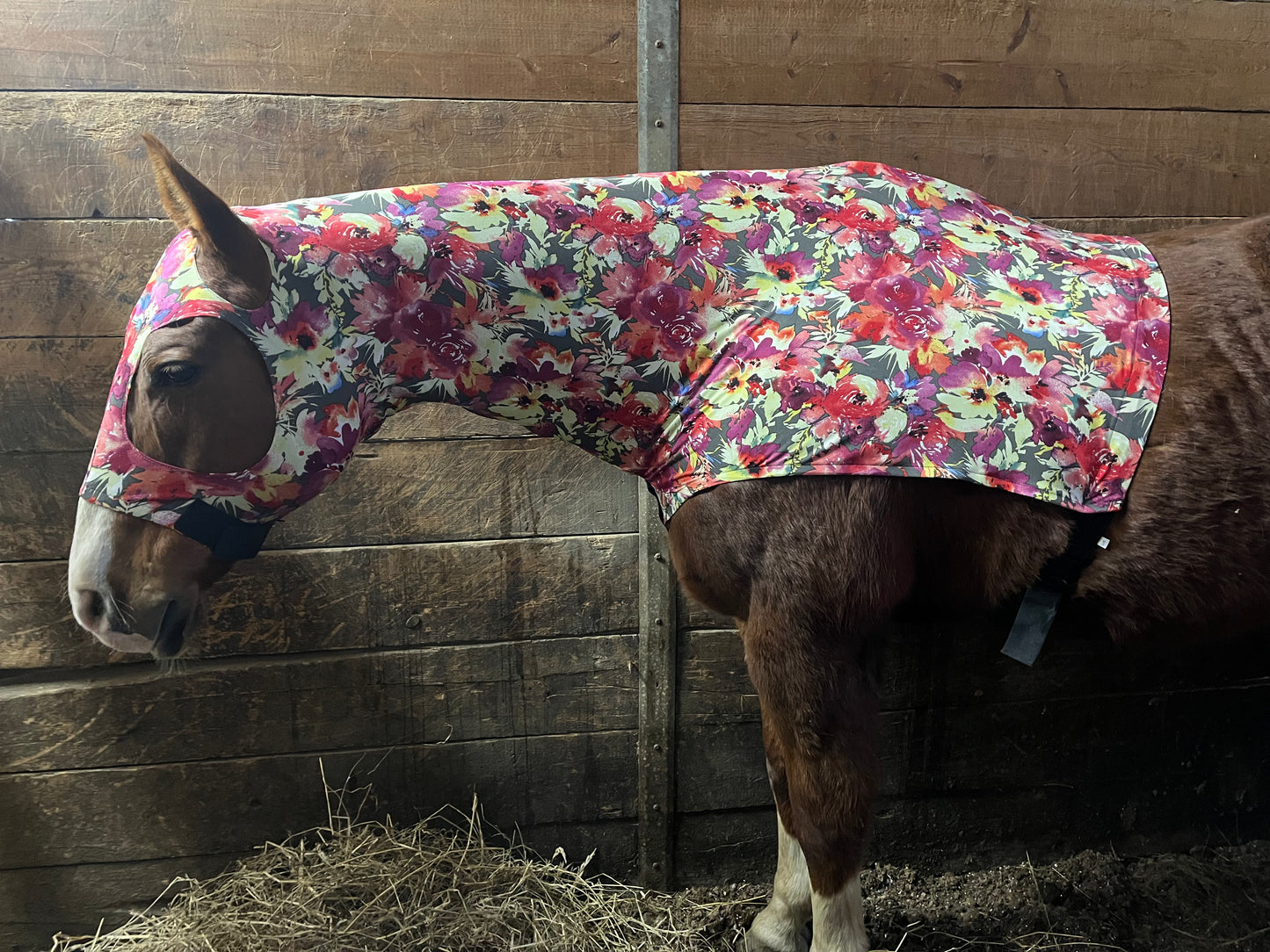 HORSE SIZE SLINKY. FREE CHARM