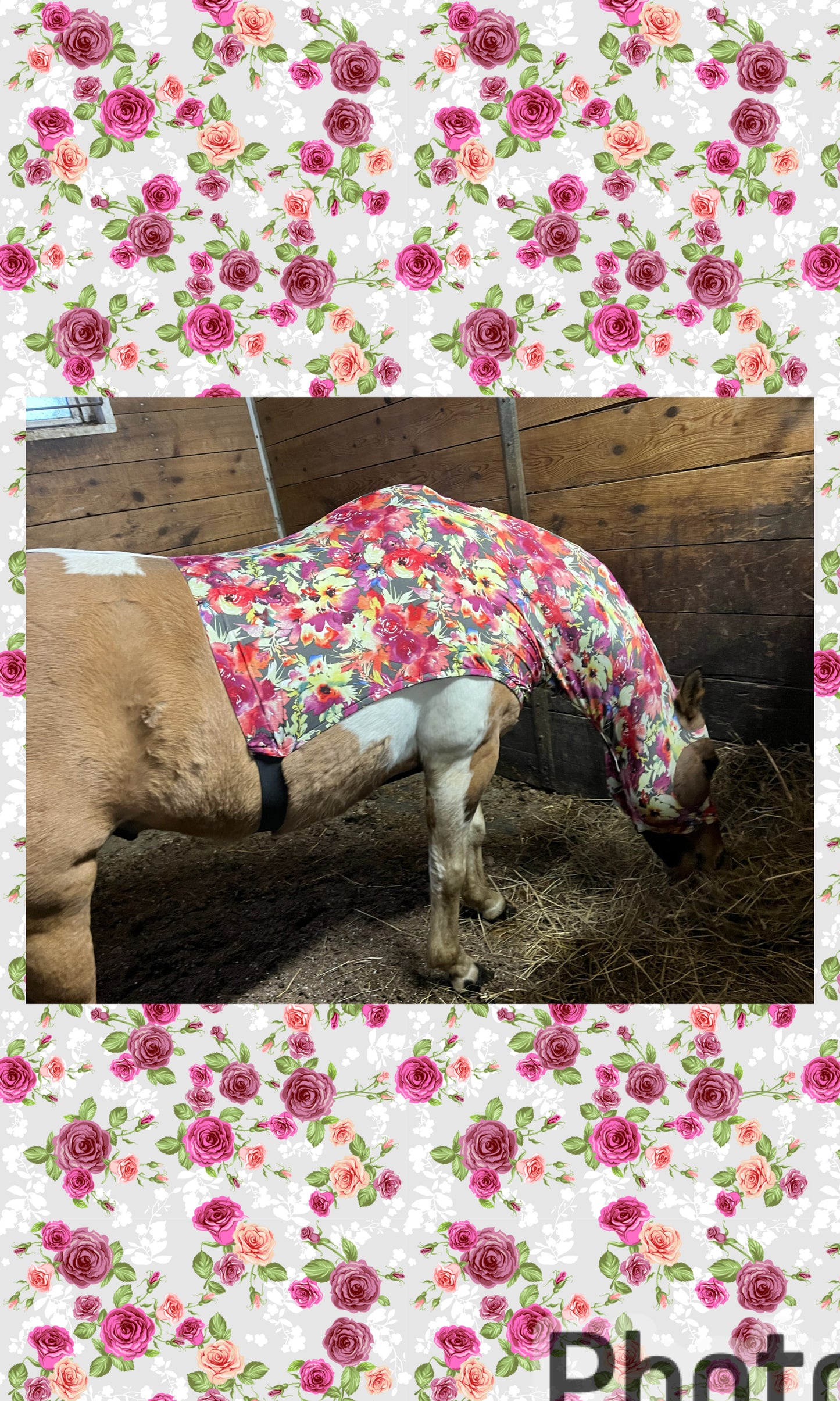 HORSE SIZE SLINKY. FREE CHARM