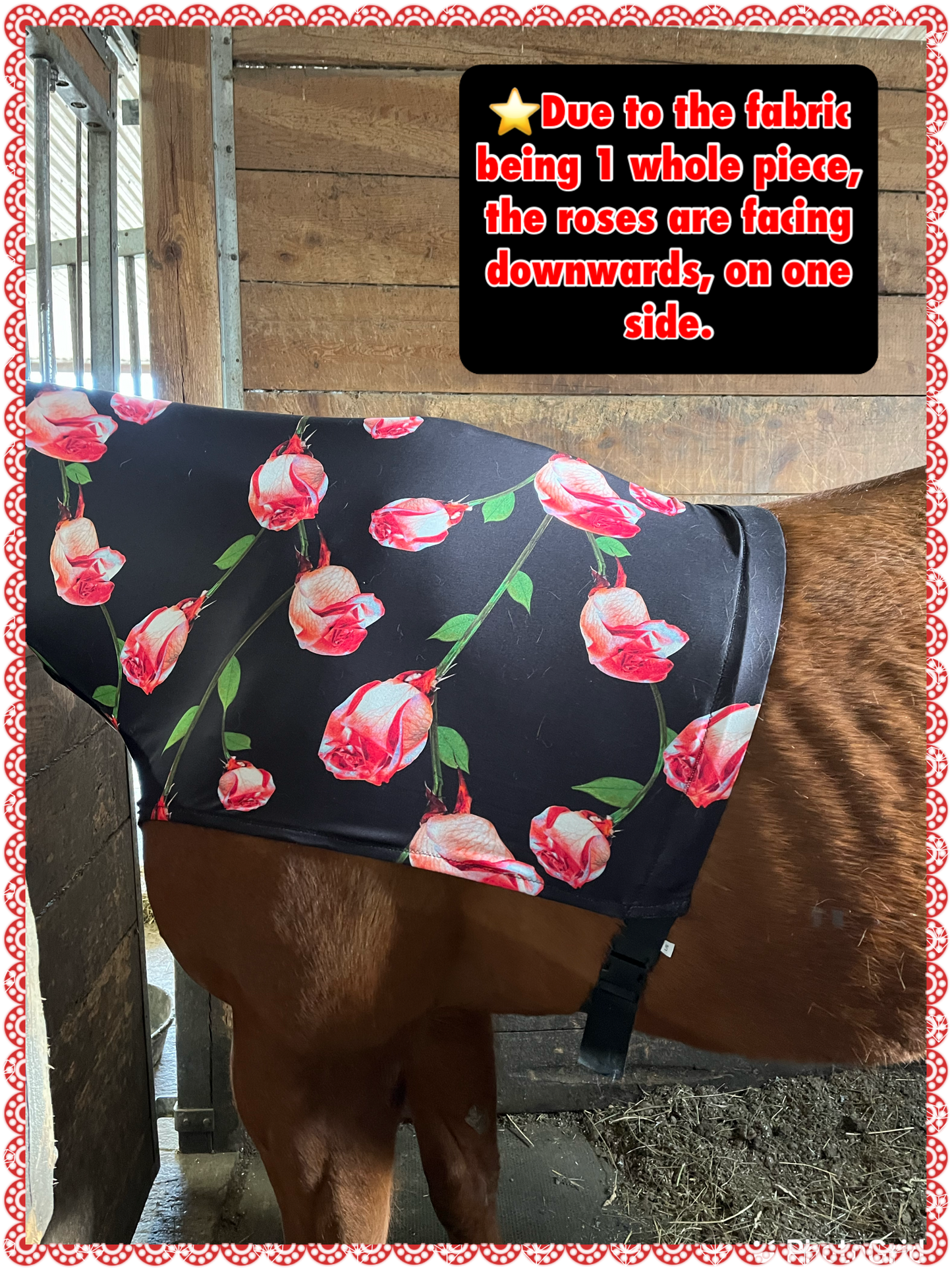 HORSE SIZE SLINKY. FREE CHARM