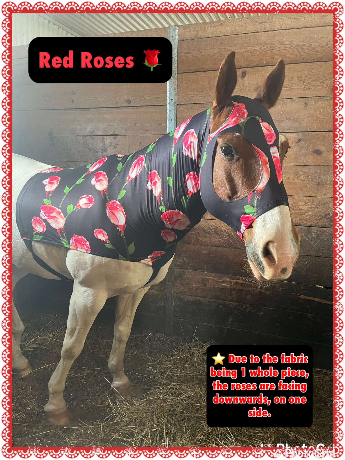 HORSE SIZE SLINKY. FREE CHARM